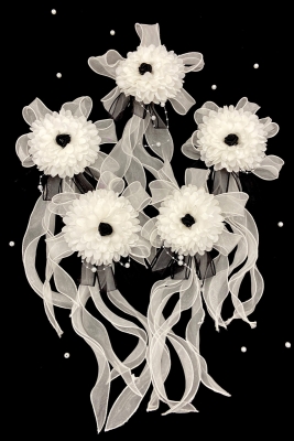 Beyaz Siyah Ortanca Bohça Süsü, Damat Gelin Çeyiz Düğün Nikah Nişan Konvoy Sünnet Kına, 5 Adet