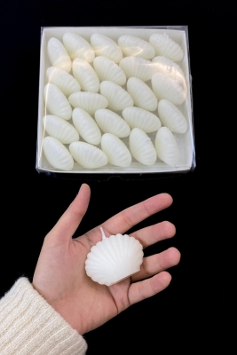 Hediyelik İstiridye Mum, Düğün Nikah Nişan Söz Doğum Sünnet Kına Bride To Be Davet, Beyaz 25 Adet